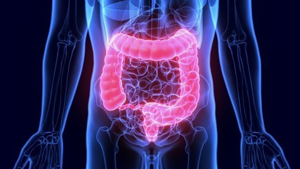 Tu iIntestino