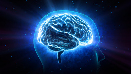 Tu cerebro<br>